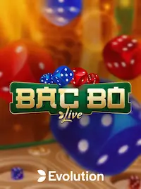 Bac Bo at NEWPLUS COM